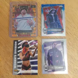 Lot of 23 wrestling cards. Letter D. Rookies, parallels +.