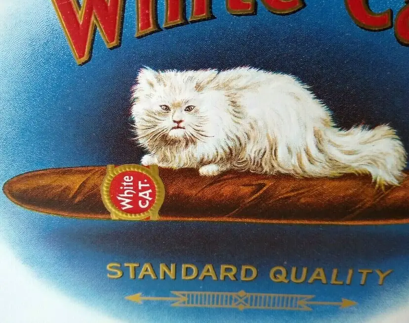 Fluffy White Cat Vintage Box Label Original Embossed Kitten Sits On Cigar 1920s
