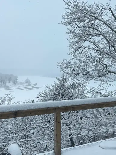 Auction Unboxing Snow Day - Collectibles Plus HUGE Jewelry Haul! ❄️☃️🌨️ 