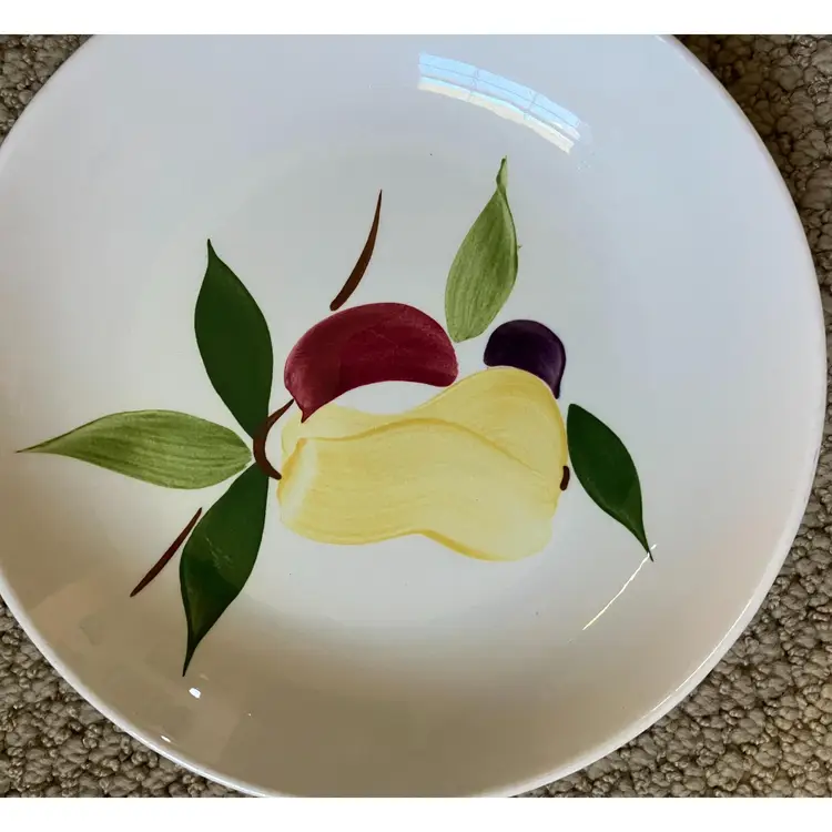 Set of 2 vintage Stetson Rio Coupe Shallow Bowls with hand painted fruit