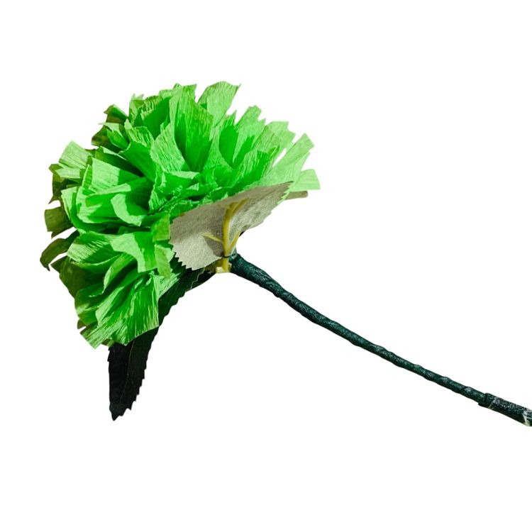 Vibrant Crepe Paper Flowers Made By Me Lime Apple Green Color Marigold Carnation Blossom 3.5-4” Diameter Blossom And 5.5-6” Tall Overall