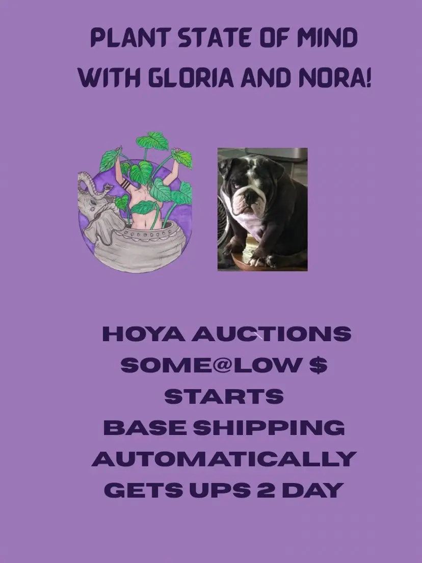 Livestream thumbnail