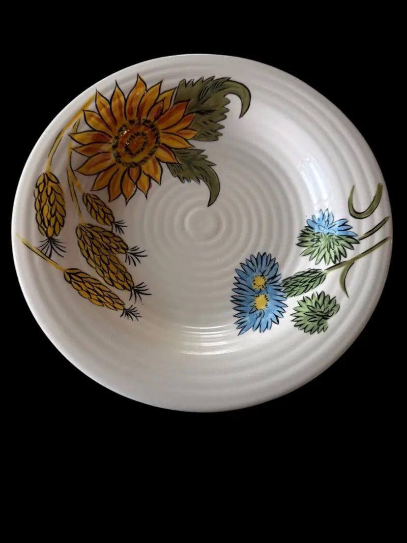 Pier 1 Sunflower Fields Salad/Pasta 8-7/8" Bowl/Plate Textured. Ex Cond (6 Available)