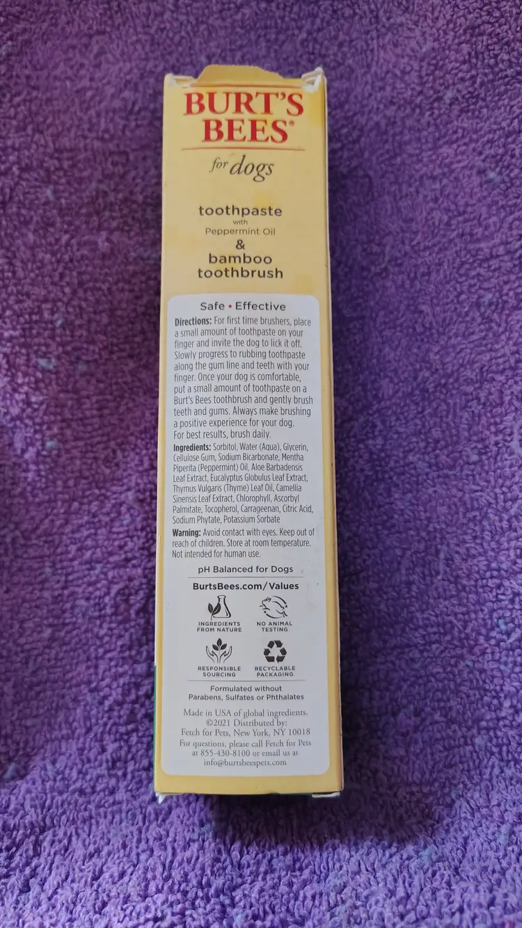 Burts bees dogs tooth brush set