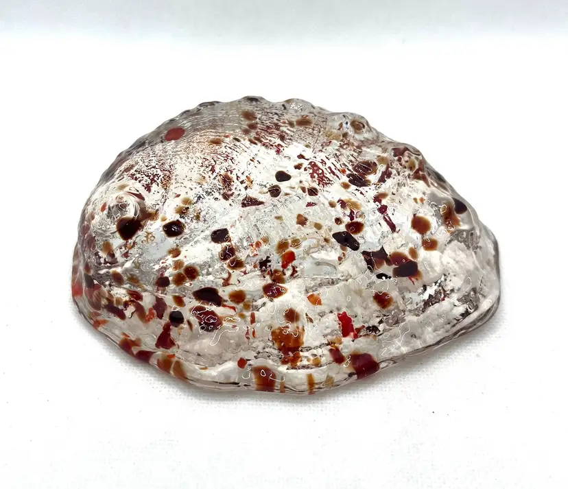 Vintage Clear Confetti Art Glass Abalone Seashell Paperweight