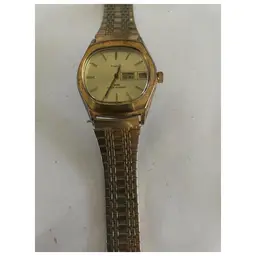 Timex Vintage Mens Watch