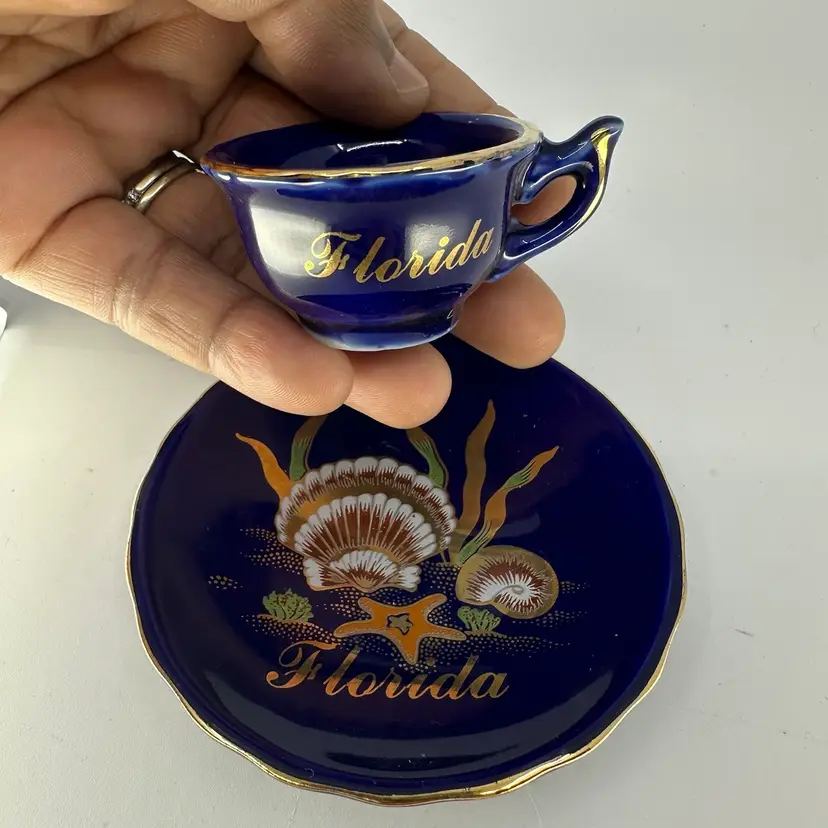 Vintage Florida Souvenir Cup and Saucer Cobalt Blue
