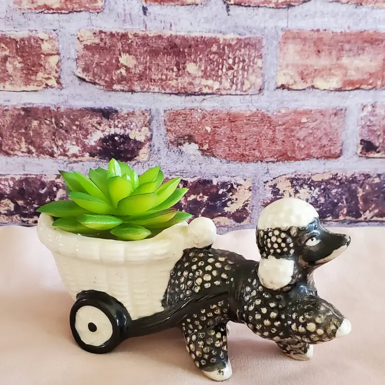 Vintage Napco Japan Poodle Cart Planter/Toothpick Holder.  Comes with Succulent.  Good Condition