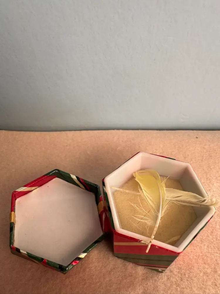 Small Plastic Ring Box With Feathers From Previous Owner