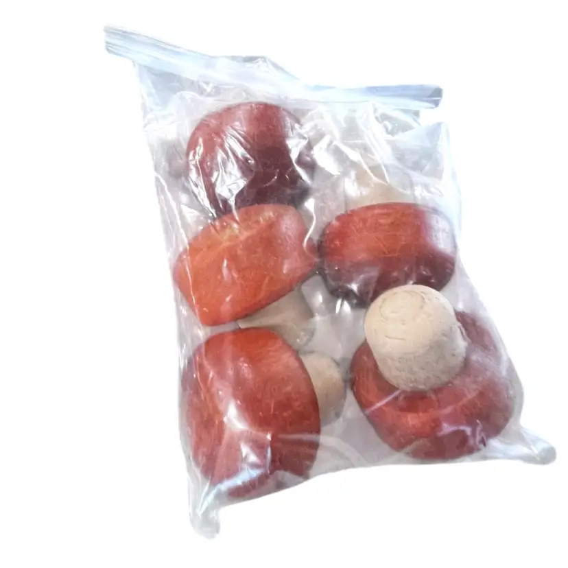 20 Vintage Mushrooms Wooden Set Of 5