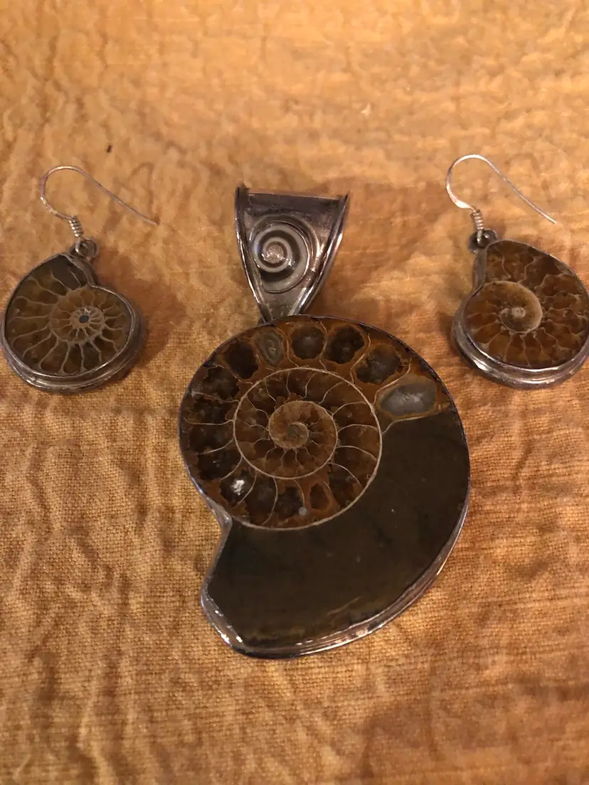 Fossil Pendant And Earring Set