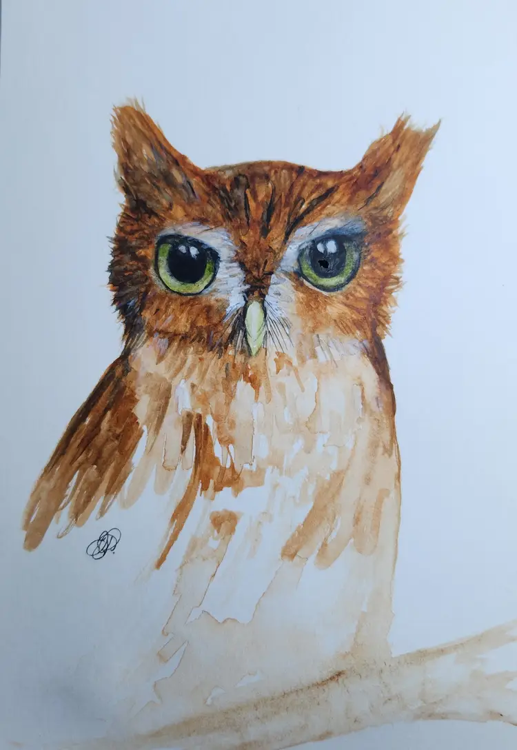 Screech Owl Original Watercolor Painting Signed By The Artist 5x7 Free Shipping