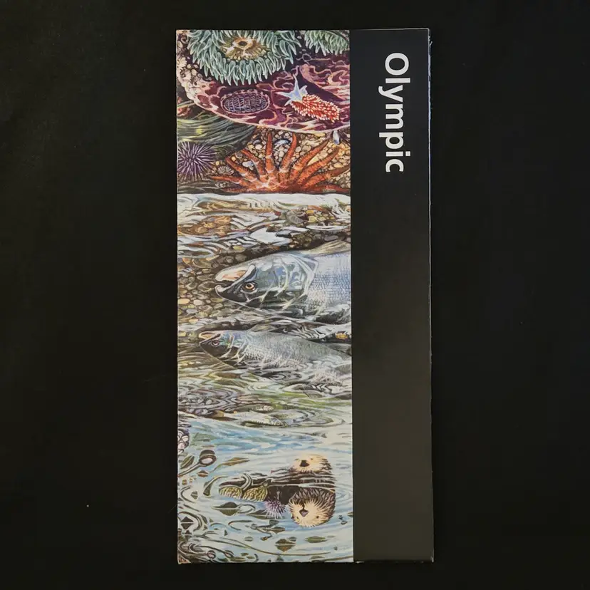 Olympic Unigrid National Park Service Brochure Washington 1998 Ephemera Vintage