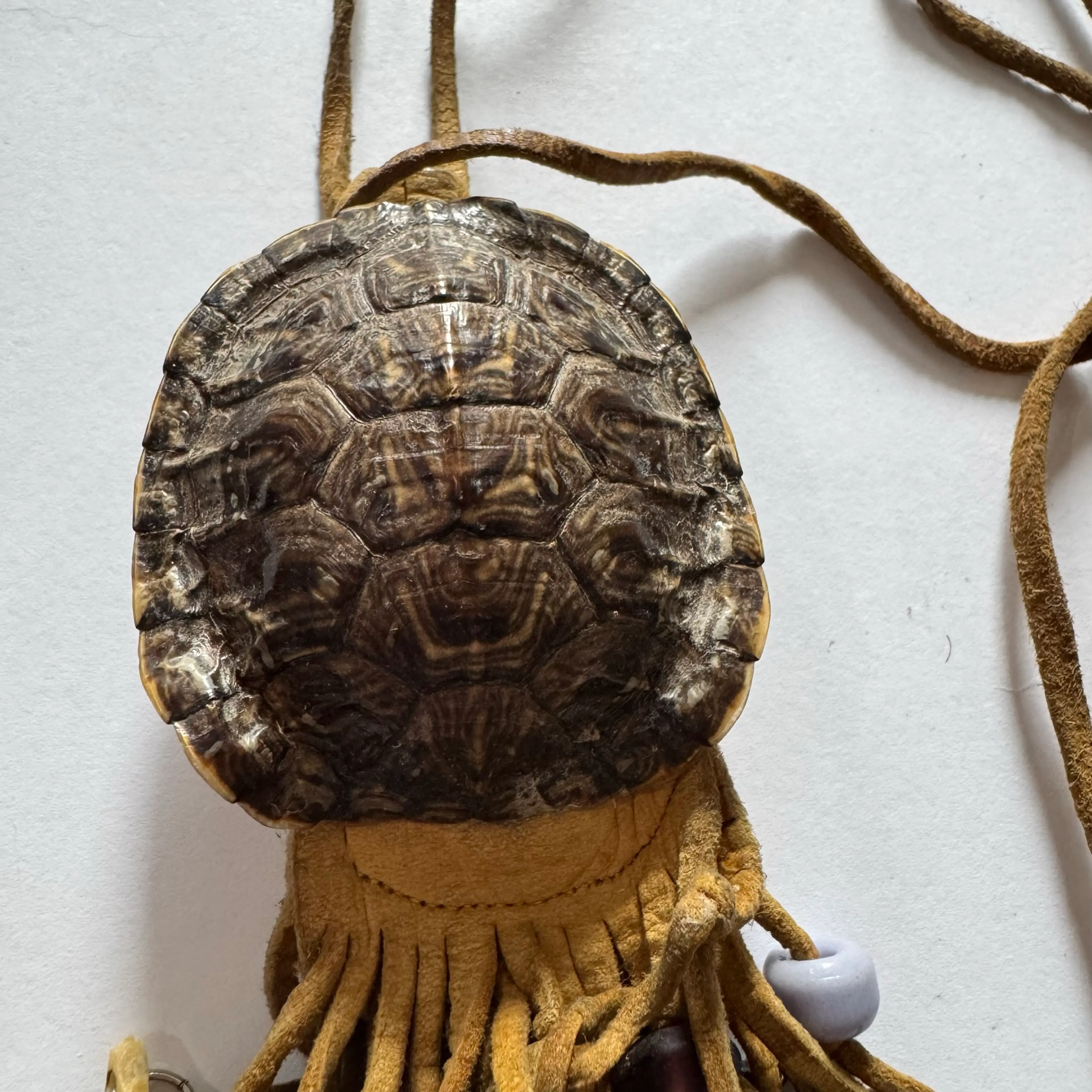 Image 2 of 6