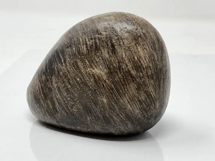 Painted Rock Raccoon by Beverly