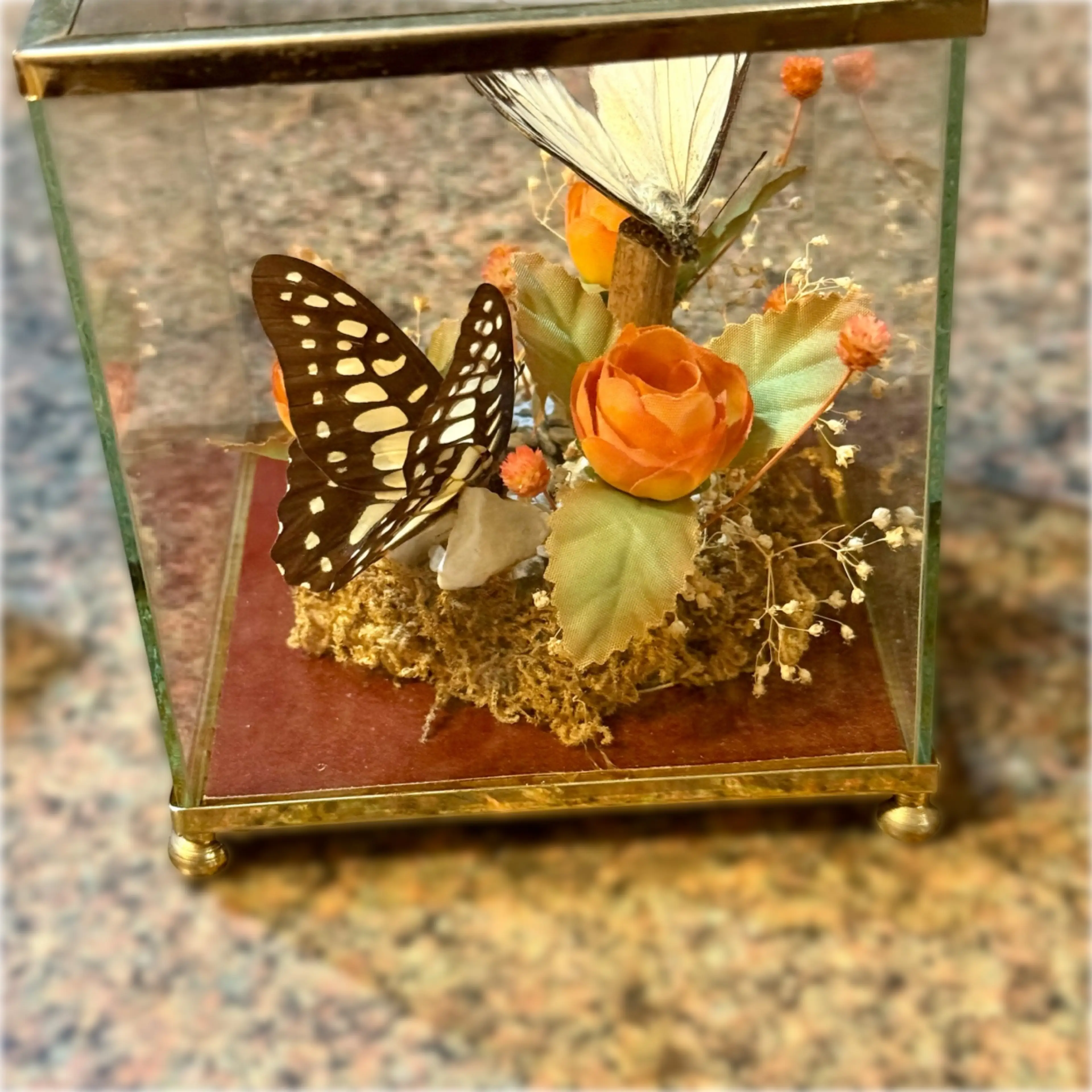 Image 4 of 9