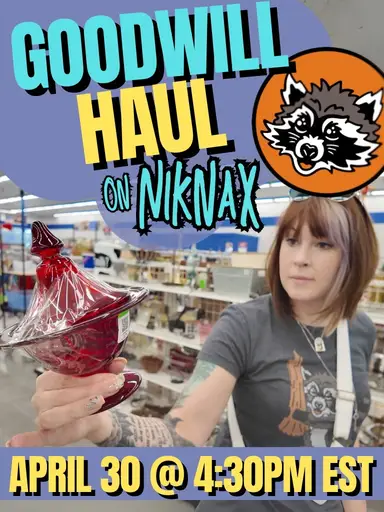 Goodwill Haul & Sale On NIKNAX