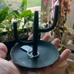 Cactus ring holder