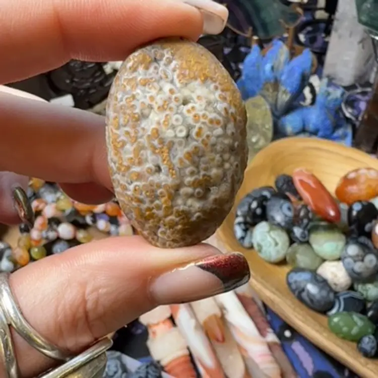 Gobi Agate Tumble 8j