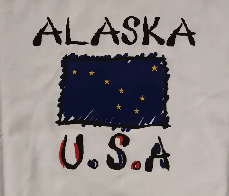 vintage single stitch Alaska USA Flag t-shirt ringer big dipper souvenir