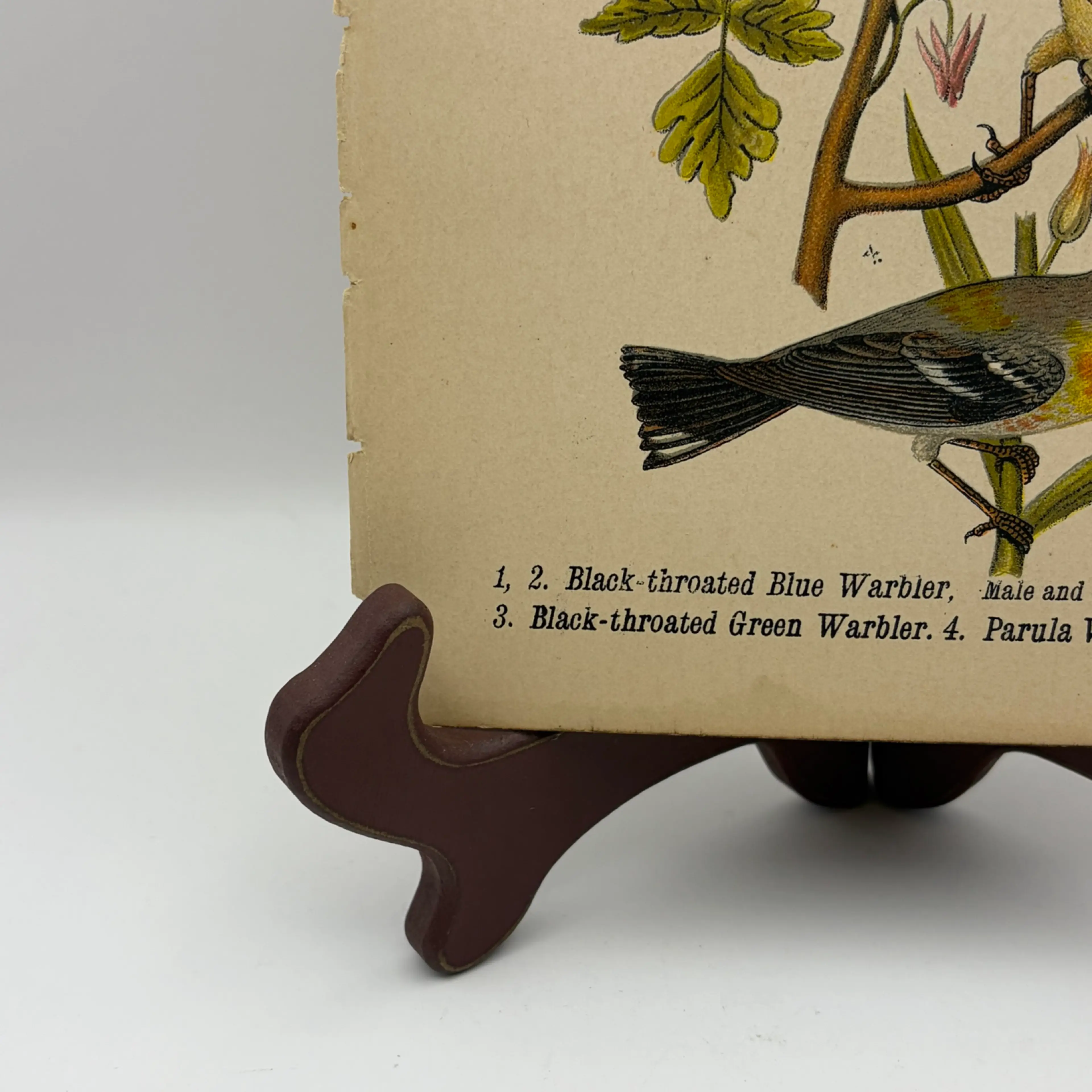 Image 5 of 9