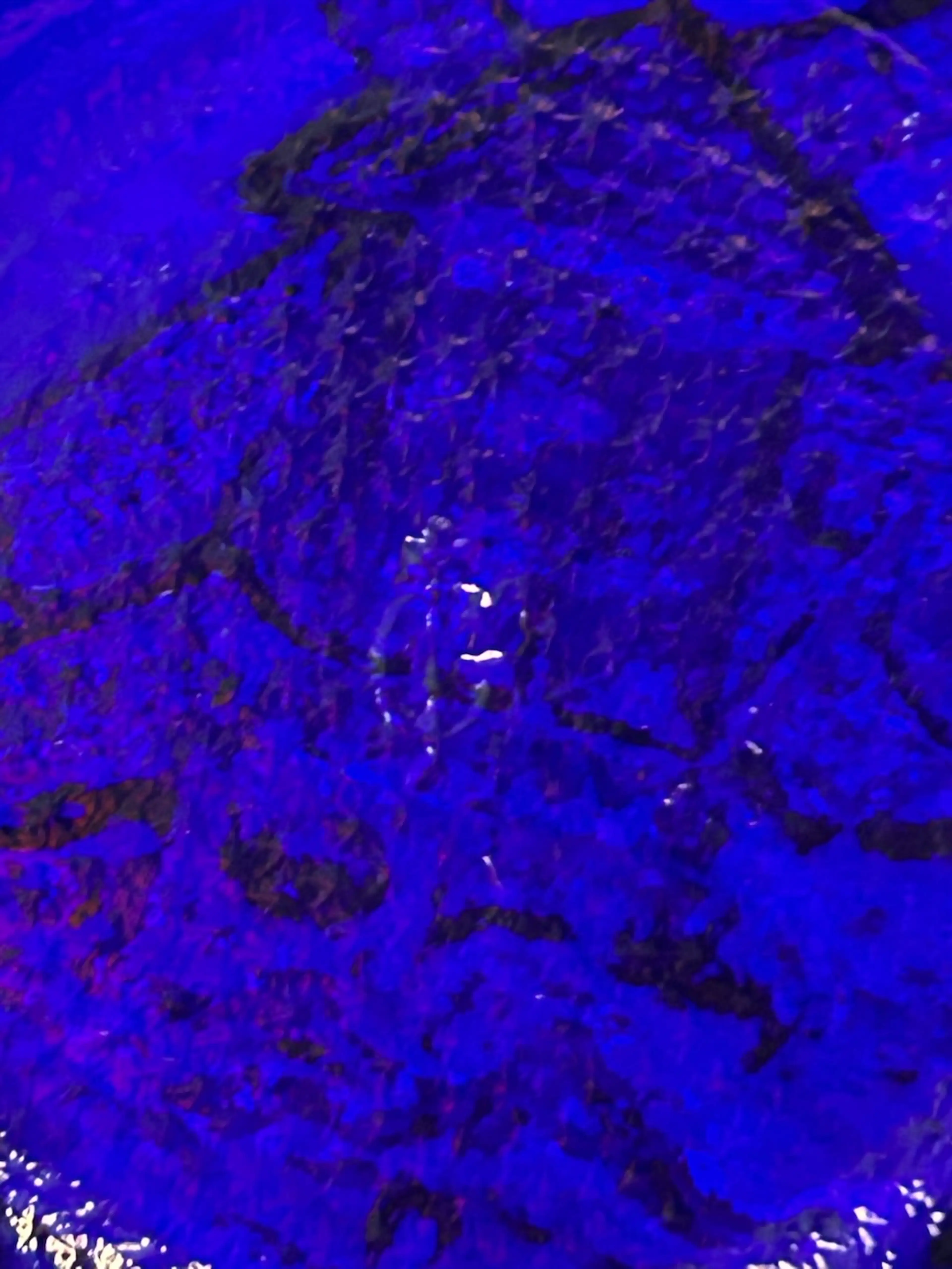 Image 4 of 4