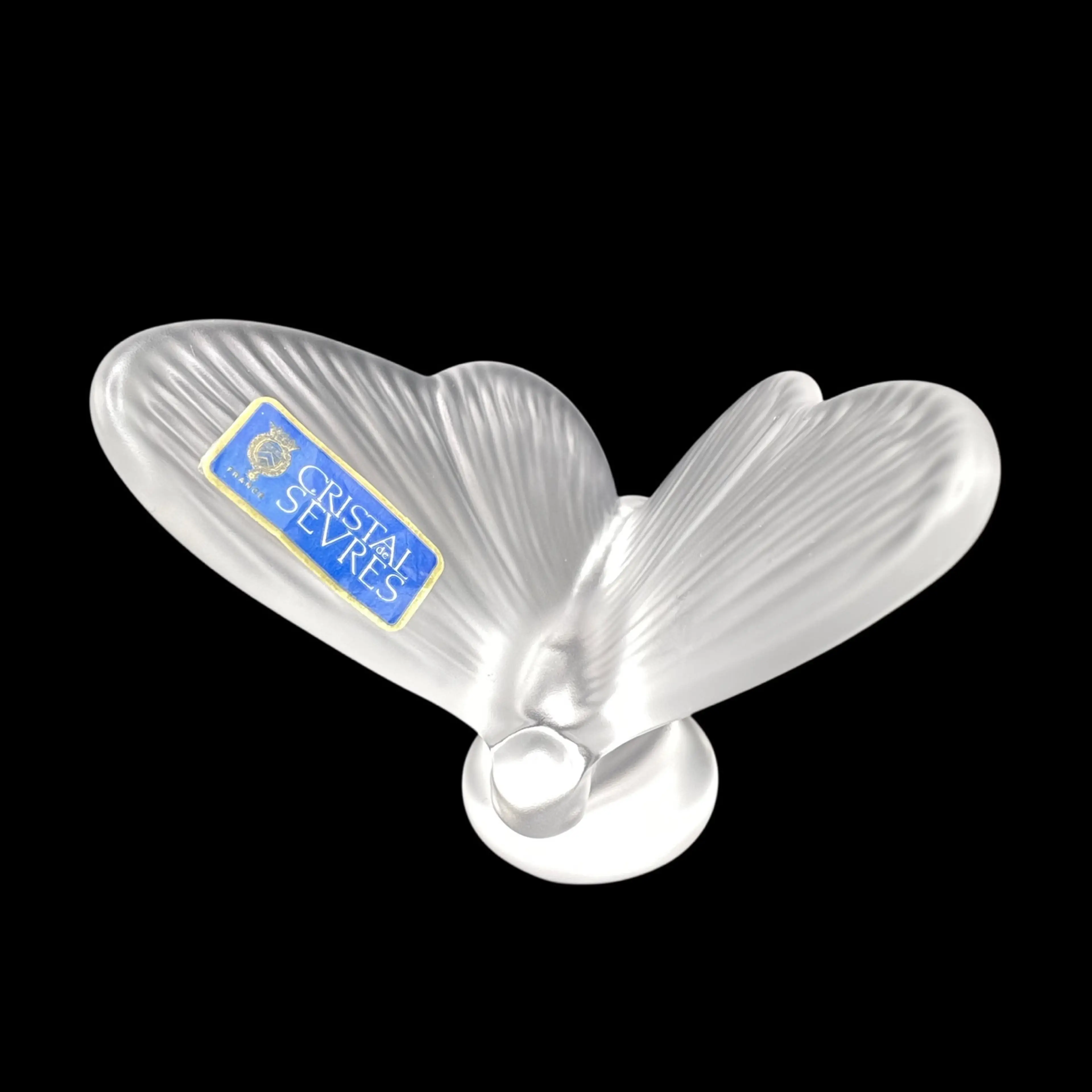 Image 1 of 12
