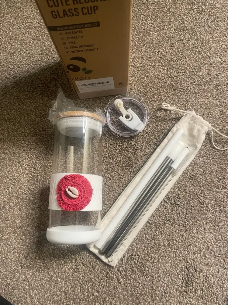 Pandaloo 20 oz Glass Timbler Cup