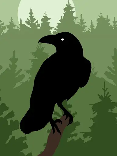 Forest Raven First Solo Show