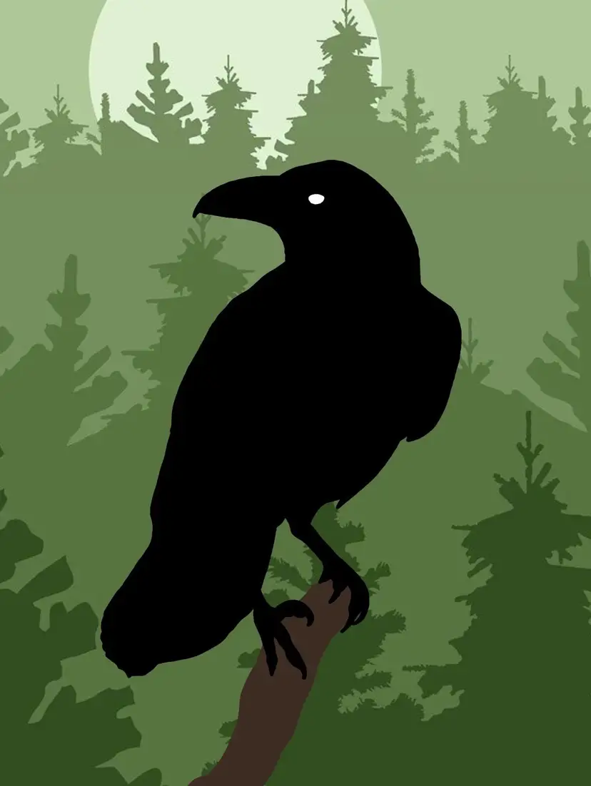 Forest Raven First Solo Show