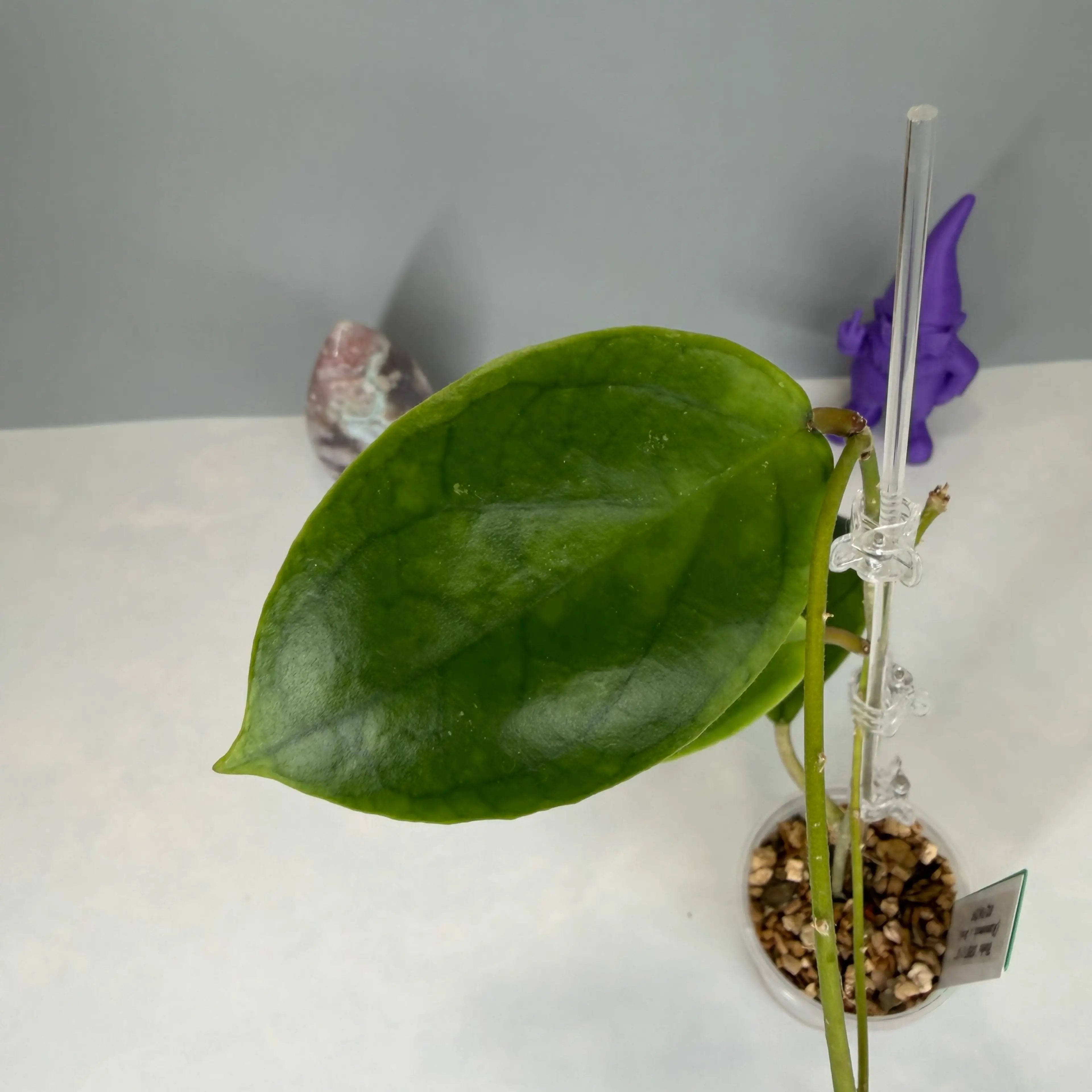 Image 4 of 6