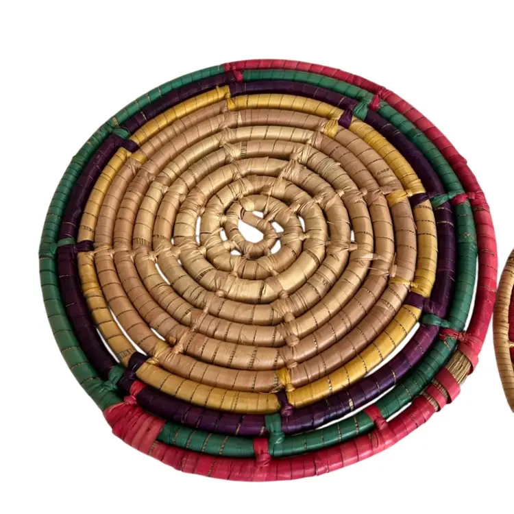 Set Of 2 Rattan Type Round Colorful Hot Pads One 9 1/2” And One 8” Diameter