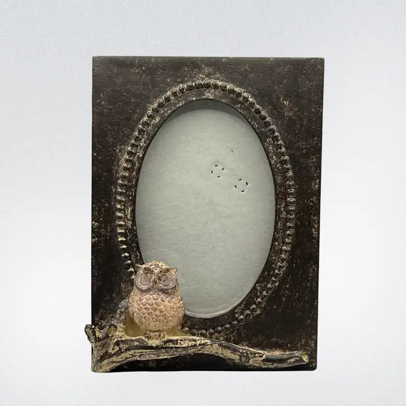 Resin Owl Picture Frame