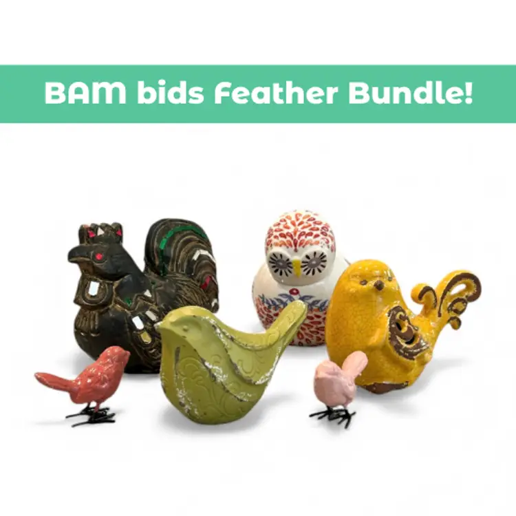 BAM bids Feather Bundle