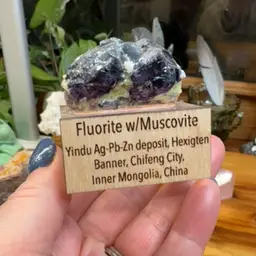 Fluorite w/Muscovite