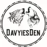 DayviesDen