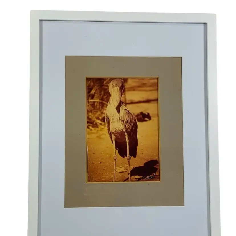 Vintage Original Art Photography “Bird”