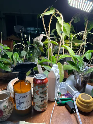 Mandatory Chirpin - Please Report To me 