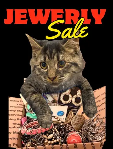 Jewelry with Kiwi Bird Crafts 