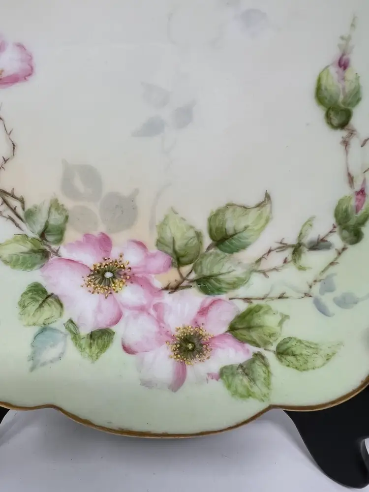 Antique Limoges France Pink Flowers w/ Gold Cabinet Wall Plate Green Background