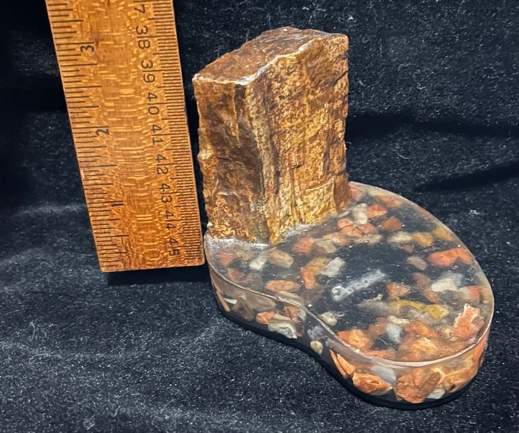 Vtg Fossil Wood Arizona Epoxy Resin Pebble Stone Paper Weight Tourist Gift Shop