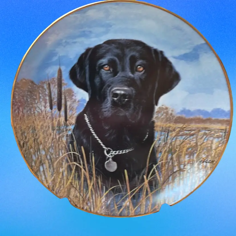 Danbury Mint On Alert