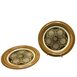 Set Of Two Vintage Ascons Carousel Pattern 7 1/2” Diameter Made In Japan