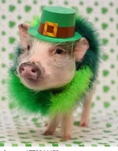 Late Night Jewelry Show! 