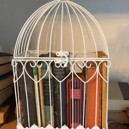 Bird Cage And Old Books Vignette