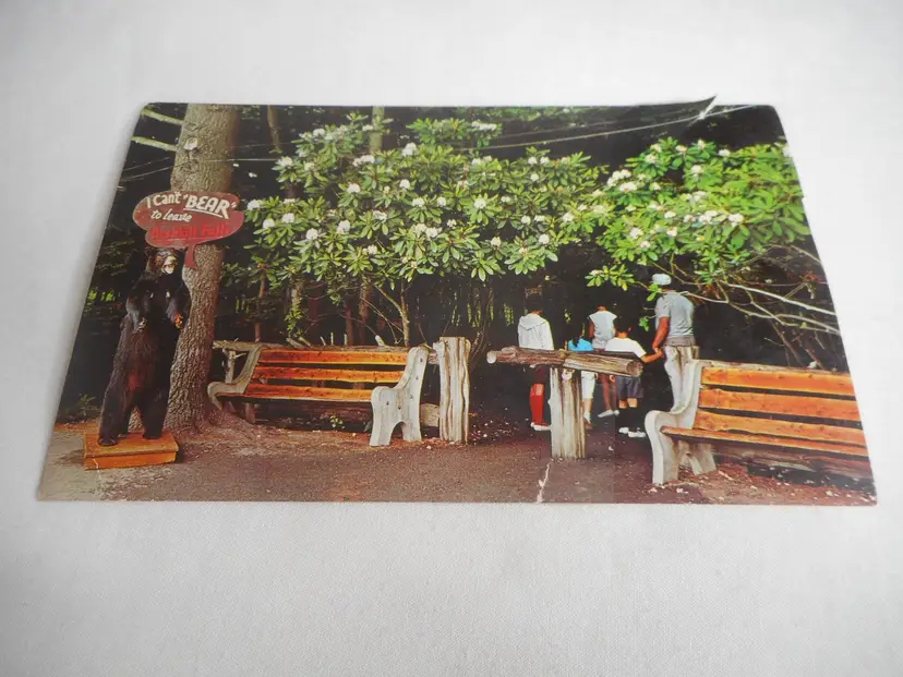 Vintage Postcard unposted Bushkill Falls, PA entrance rhododendron 1960s