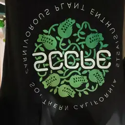 Shirt of your choice