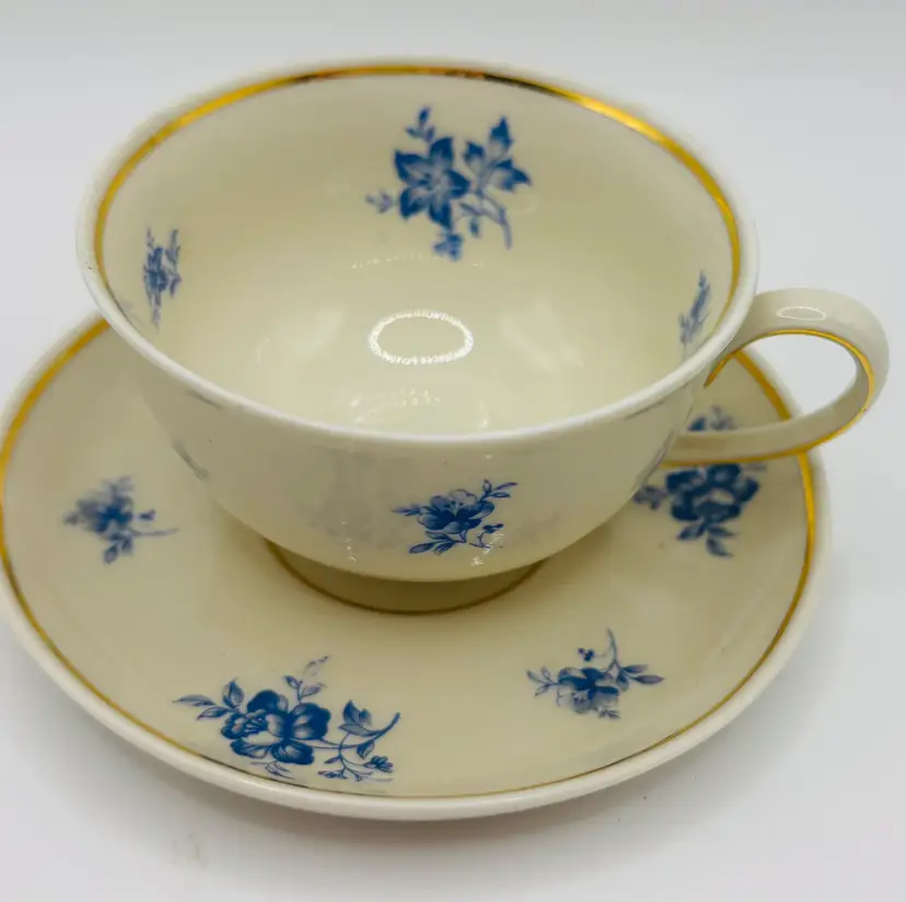 Vintage Johann Haviland Demitasse Porcelain Tea Cup & Saucer, Barvaria Germany