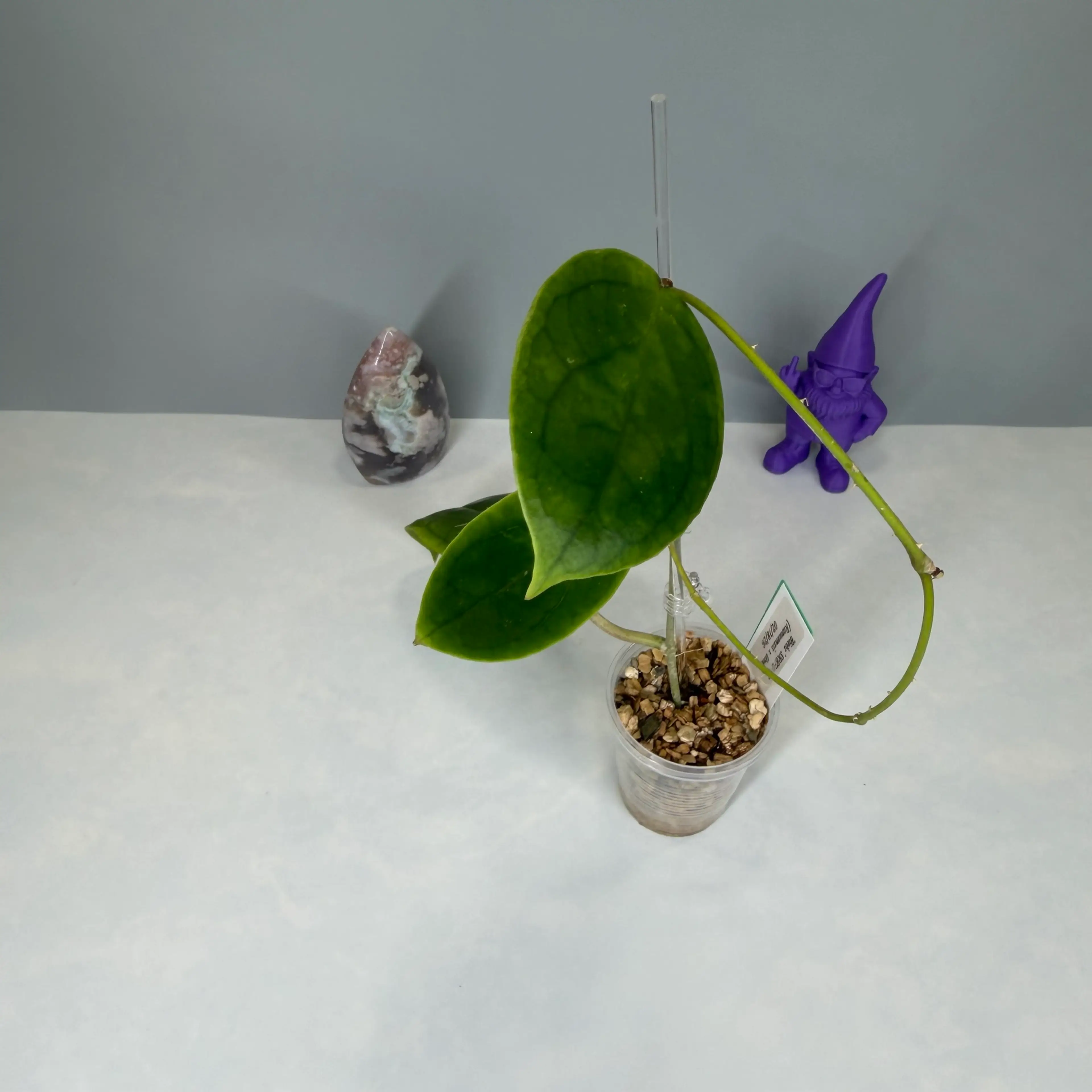 Image 3 of 6