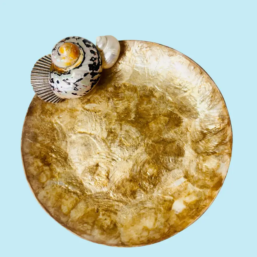 Gorgeous Vintage Capiz Shell Round Plate Bowl With Applied Shells Beach House Decor